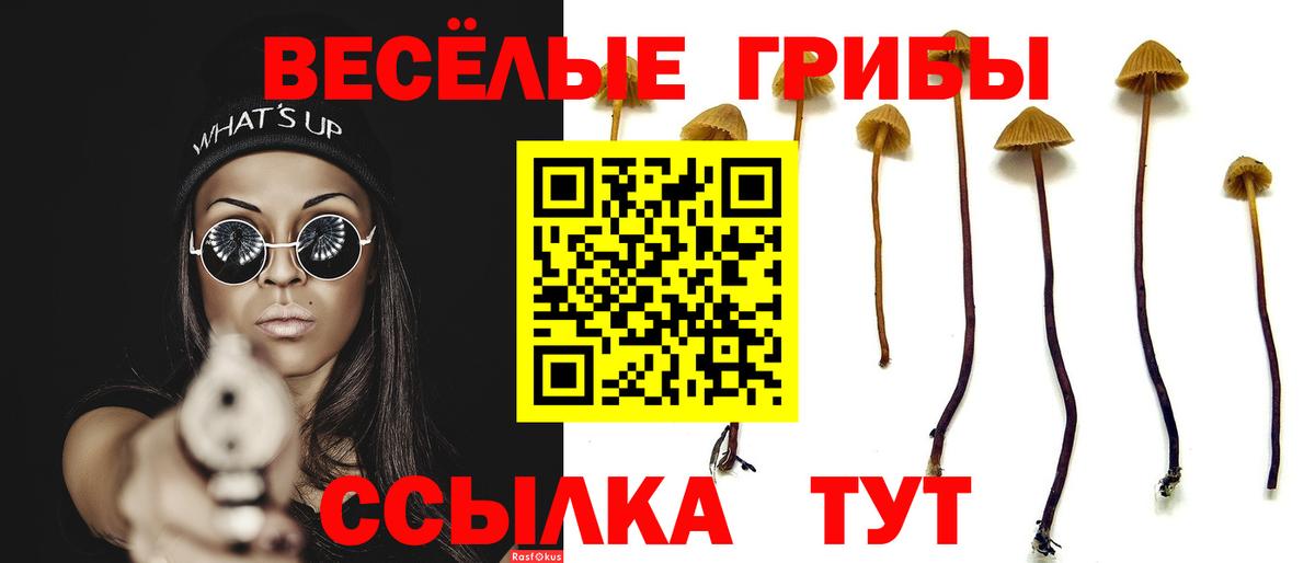 Галлюциногенные грибы Magic Shrooms Мичуринск
